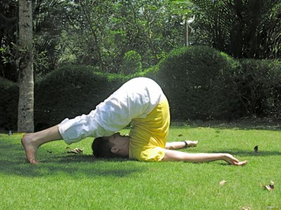 asanas23